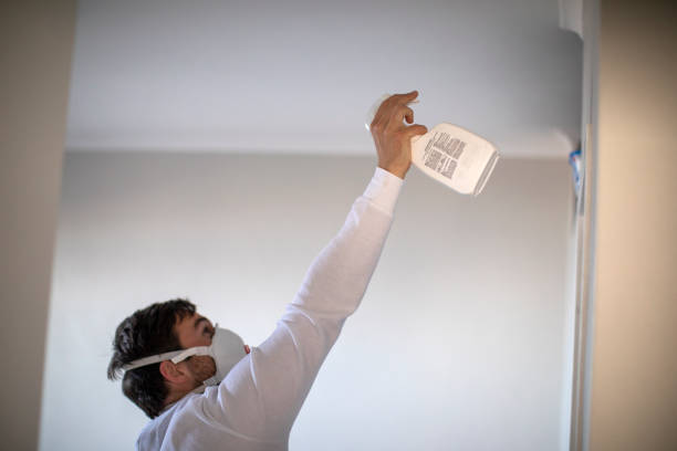 Best Office Mold Removal Services  in Rosewood Heights, IL