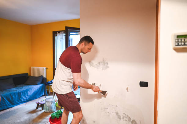 Best Toxic Mold Removal  in Rosewood Heights, IL